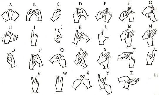 Indian Sign Language Skeletal-point NumPy array using MediaPipe | IEEE ...