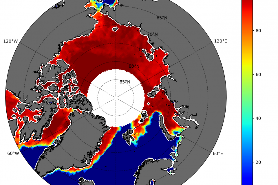 Arctic sea ice concentration from SARAL/AltiKa radiometer Version 