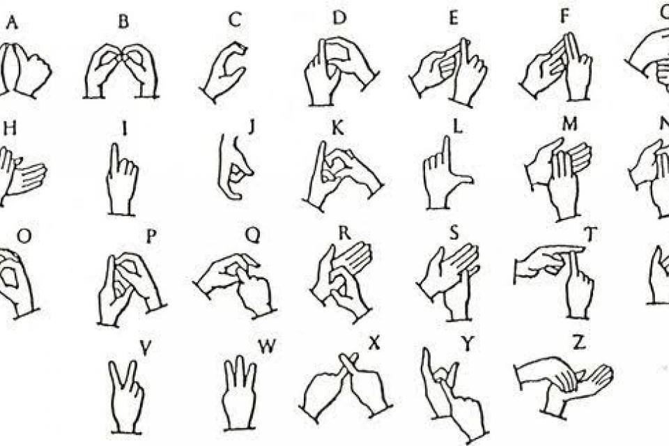 Indian Sign Language Skeletal-point NumPy array using MediaPipe | IEEE ...