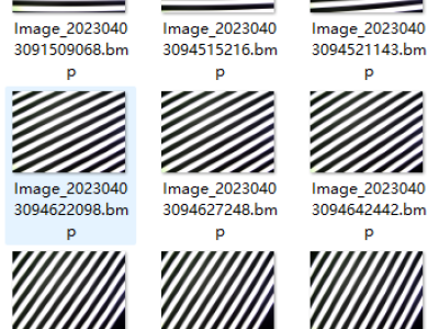 Dataset image