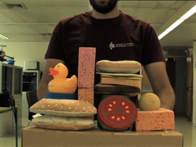 Dataset image