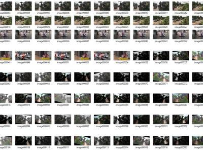 Dataset image