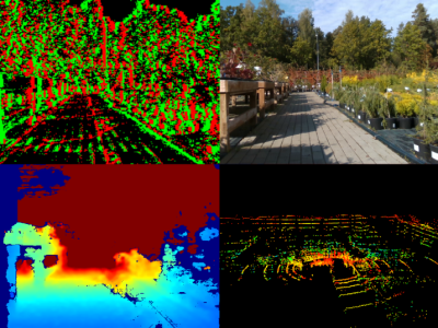 Dataset image
