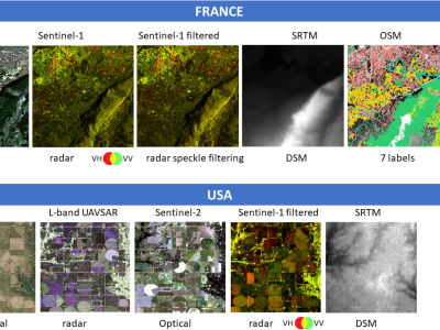 Dataset image