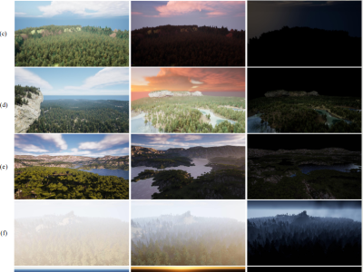 Dataset image