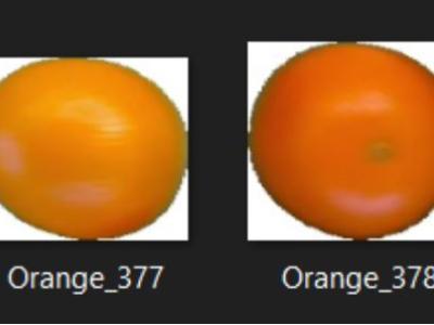 Dataset image