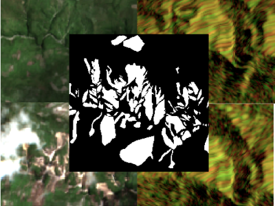 Dataset image