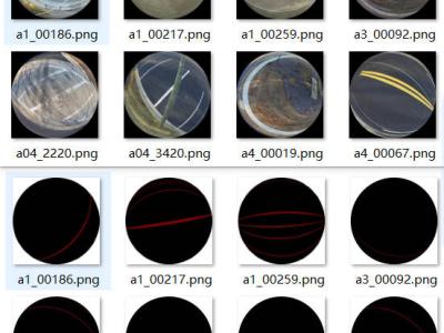 Dataset image
