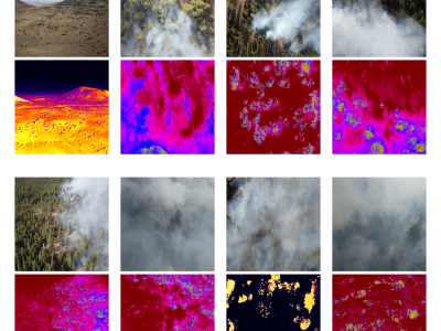 Dataset image