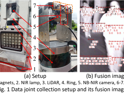 Dataset image