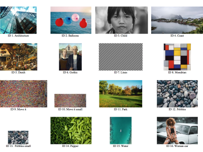 Dataset image