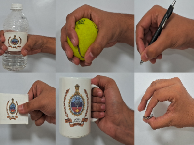 Dataset image