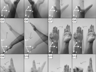 Dataset image