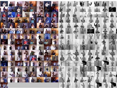 Dataset image