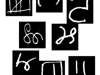 Dataset image