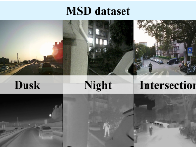 Dataset image