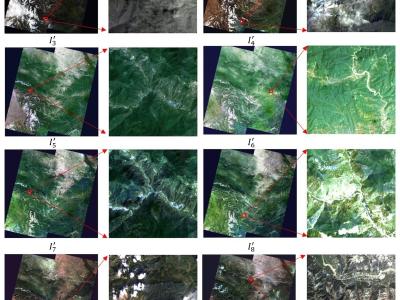 Dataset image