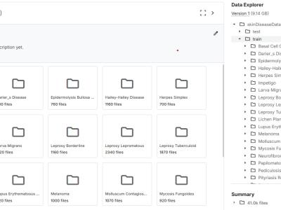 Dataset image