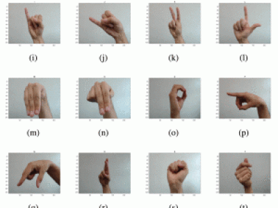 Dataset image
