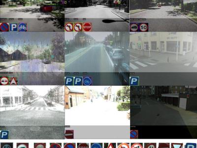 Dataset image