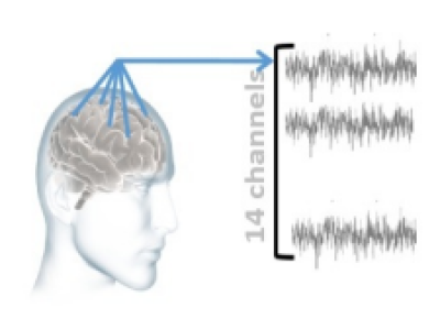 Dataset image