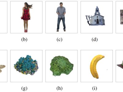 Dataset image