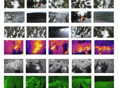 Dataset image