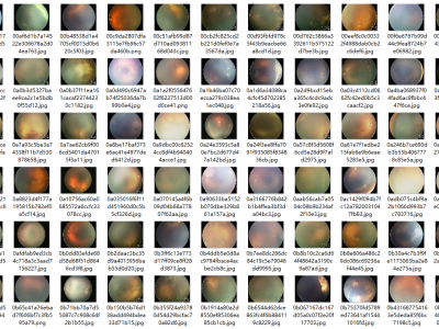 Dataset image