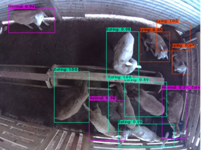 Dataset image
