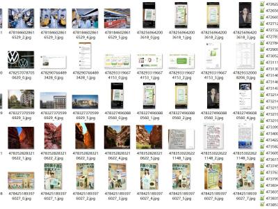 Dataset image