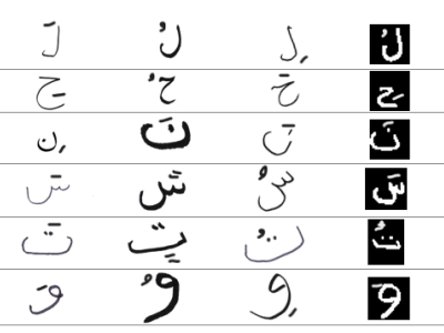 Dataset image