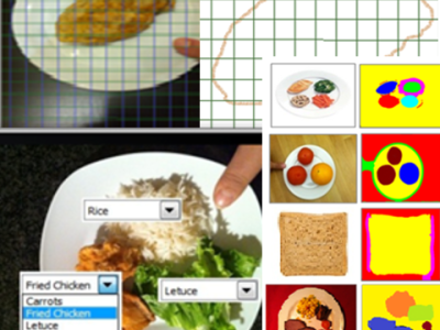 Dataset image