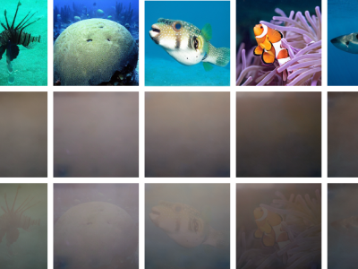 Dataset image