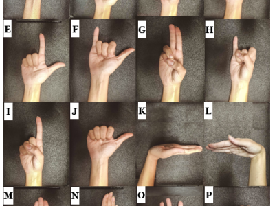 Dataset image