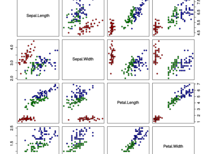 Dataset image