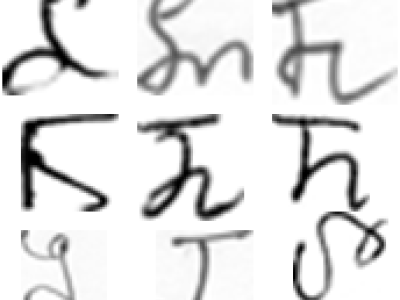 Dataset image