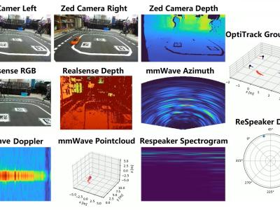 Dataset image