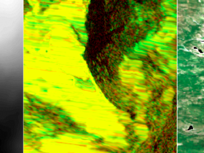Dataset image