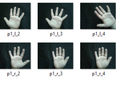 Dataset image