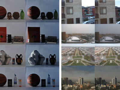Dataset image