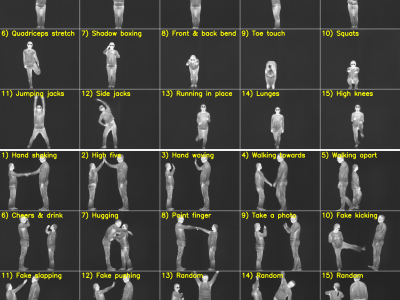 Dataset image