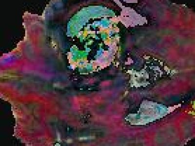 Dataset image