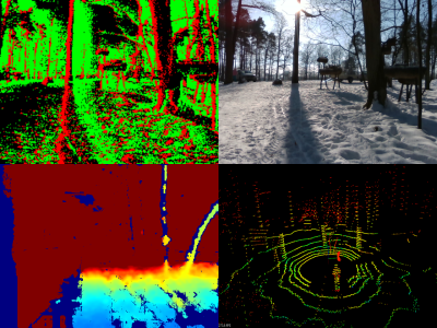 Dataset image