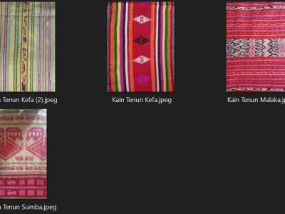 Dataset image