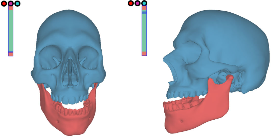 Jaw Motion and Jaw Kinematics Model | IEEE DataPort